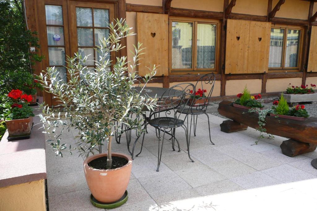 Gite De La Streng Ribeauvillé Quarto foto